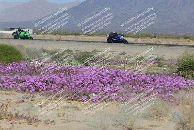 media/Feb-04-2023-SoCal Trackdays (Sat) [[8a776bf2c3]]/Turn 15 Inside Blooming (1050am)/